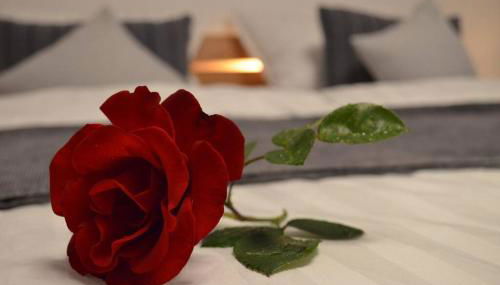 Ruhige Ferienwohnung im Grünen - Foto 3