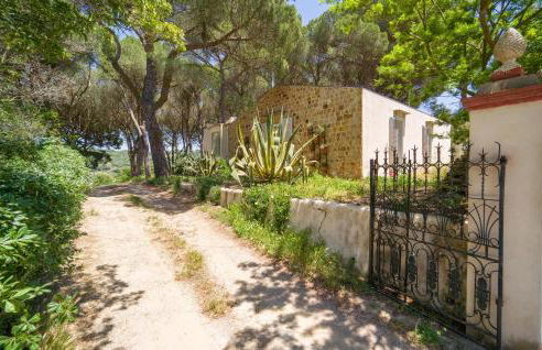 Nocellara - Photo 23