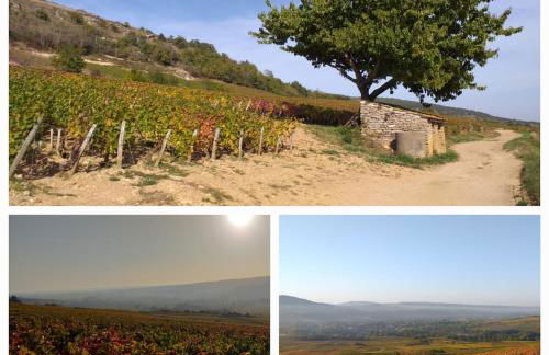 Appartement Indépendant Chagny - Foto 39