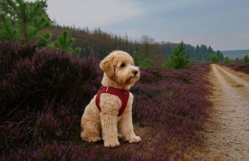 Küstenhaus Silbermöwe - Foto 22