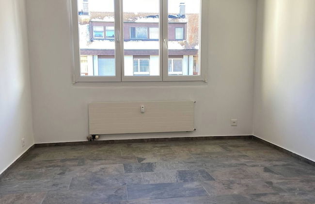 In the Green but in 20 Minutes in Basel - Foto 7