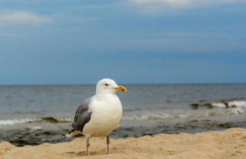 Ankerplatz38 - Foto 16