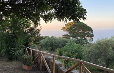 Bouganville in Villa Greco - Foto 57