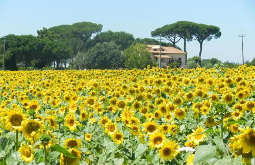 Boschetto del Lago - Foto 14