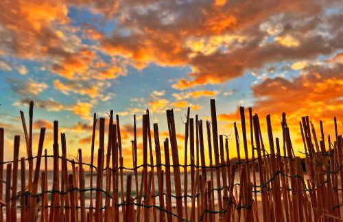 Luxury Tugurio - Foto 30