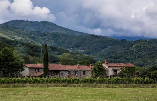 Coriana Apartments & Villas - Foto 25