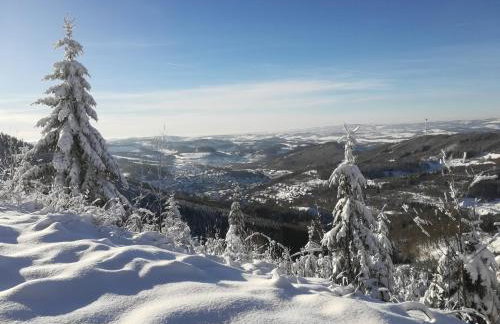 Ferienwohnungen Ingrid Alfes - Foto 22