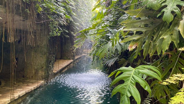 Visit this fascinating estate in Yucatán