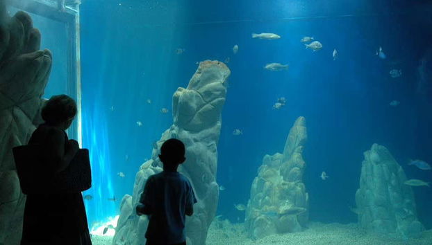Visitando l'acquario di Cala Gonone