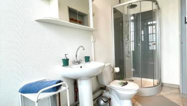 Lumineux et rénové studio en centre ville - Apt9 - Foto 4, Shower