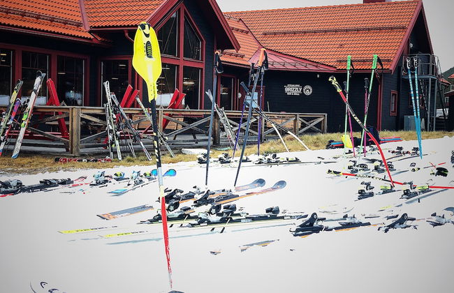 Vildmarks Lodge - Photo 25