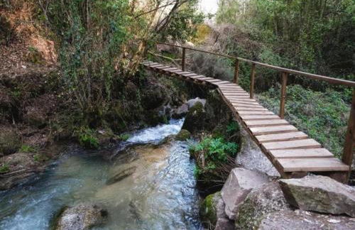 Forest Hideaway Near Douro Valley - Foto 75