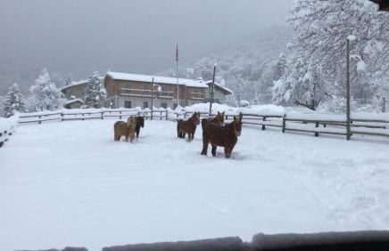 Ranch Enbrucà - Foto 77