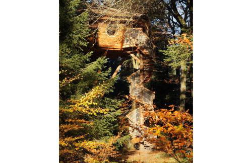 Cabanes des Volcans - Foto 17