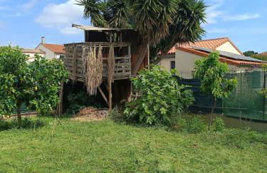 Belle maison lumineuse en pierre Catalogne - Argelès sur Mer - Collioure - Photo 29