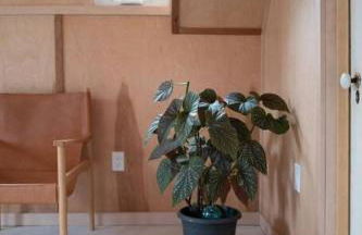 Modern Cottage Two (The Lorca, Catskills) - Foto 7