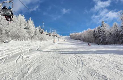 Mitterdorf Almberg x29 - Foto 28