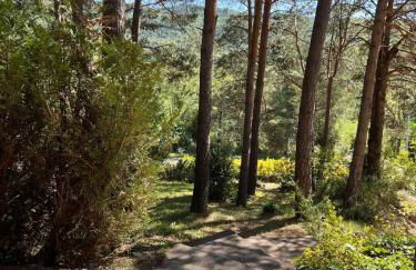 Villa Zocotin - Photo 4