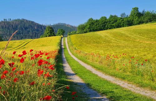 Ferienhaus Darlingerode - Foto 18