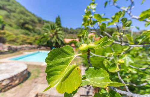 Casa Pájaro Colores in Bolonia - Foto 65
