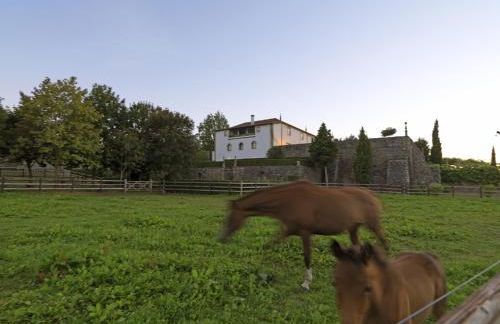 Quinta da Casa Alta - Foto 64