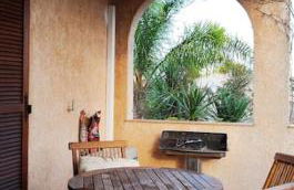 Mare è Monte , jardin méditerranéen et exotique. - Foto 8