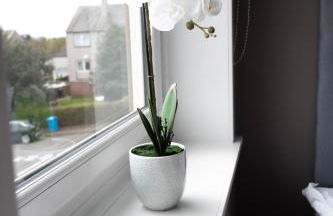 Burns House - Foto 35