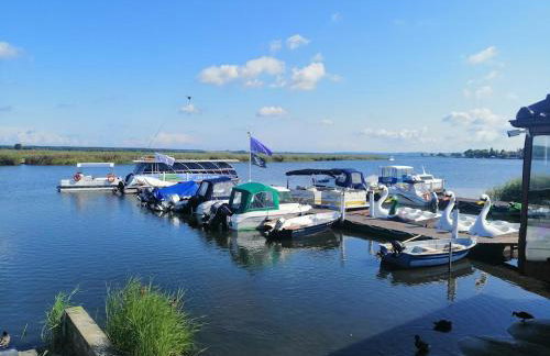 Wierzbowa Ostoja - Domek letniskowy BOSMAN - Photo 38