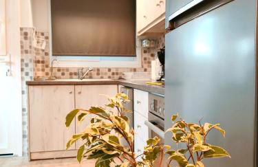 Zika's House - Foto 8