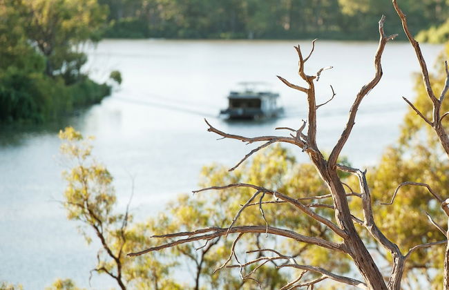 The Frames - Foto 40