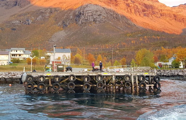 10 Person Holiday Home in Reinfjord-by Traum - Foto 21