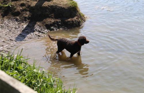 Wren Cottage - Foto 29