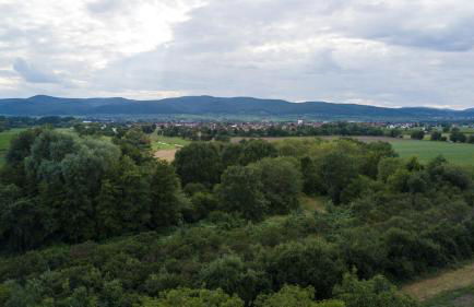 Ferienhaus Lenchen - Photo 21