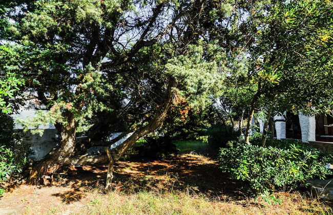 Villa Marritza - Foto 13