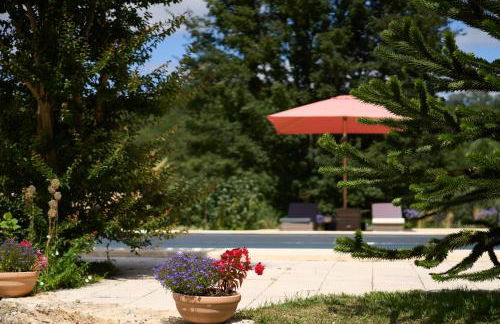 La charmante - Foto 14