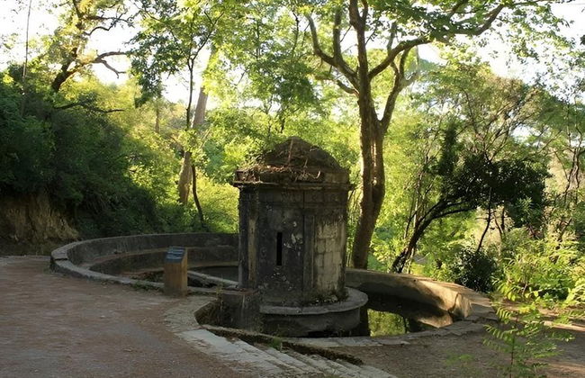 Fatima and Tomar Full Day Private Tour from Lisbon - Photo 29