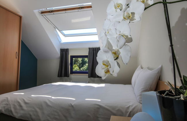 Maisons de Vacances Azur en Ardenne - Photo 8