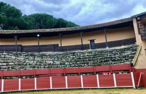 El Rinconcito de Bejar - Photo 47