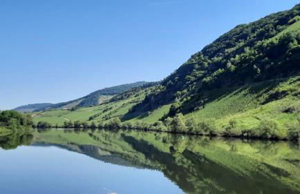 Ferienwohnung Roter Riesling - Foto 15