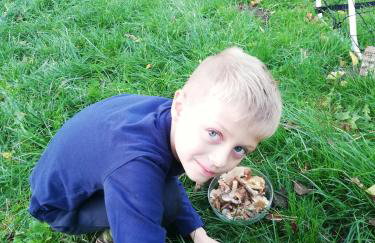 Babie Lato - Foto 49