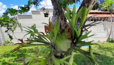 Mansion in the mountains - Foto 5