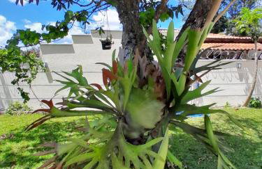 Mansion in the mountains - Foto 5