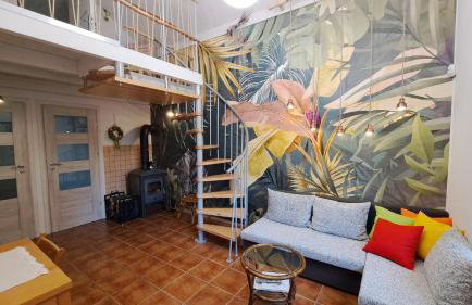 Brzozowy Zakątek - Foto 1