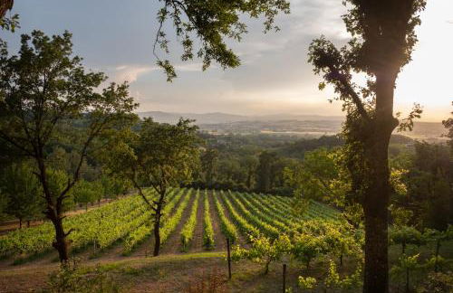 Agriturismo Le Cerque - Photo 38