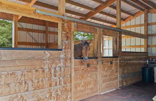 Mala o Kilauea Nature Retreat - Foto 52