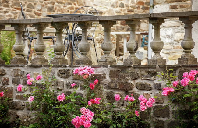 Accessible Stay in Nature - Foto 19