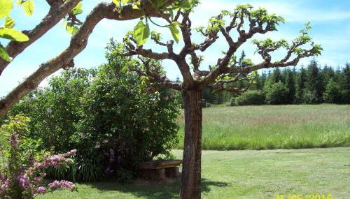 Maison de campagne Dordogne près Monpazier - Foto 5, Garden