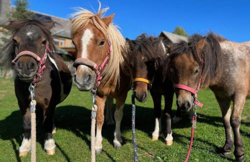 Landhaus Isolde - Foto 7