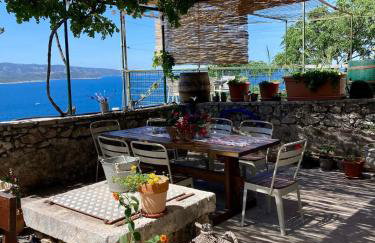 Blue Dream - Foto 42