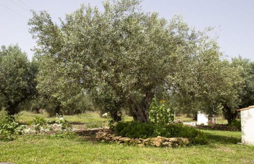 Casa Raineri - Foto 21